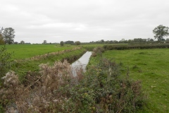 29.-Looking-upstream-from-Garston-Bridge