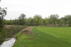 39.-Looking-Downstream-from-Manor-Farm-Footbridge