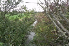 73.-Looking-downstream-from-Steart-Bridge
