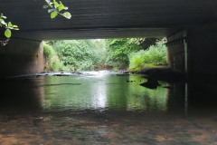 1.-Upstream-face-Petherton-Bridge-3