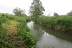 10.-Downstream-from-Petherton-Bridge-1
