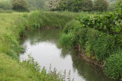10.-Downstream-from-Petherton-Bridge-2