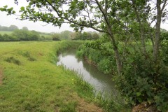 10.-Downstream-from-Petherton-Bridge-3