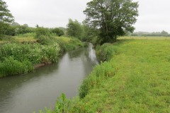 10.-Downstream-from-Petherton-Bridge-4