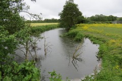 14.-Downstream-from-Bulsom-Bridge-10