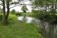 14.-Downstream-from-Bulsom-Bridge-11