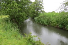 14.-Downstream-from-Bulsom-Bridge-2