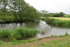 14.-Downstream-from-Bulsom-Bridge-9