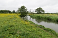 15.-Upstream-from-Careys-Mill-bridge-1