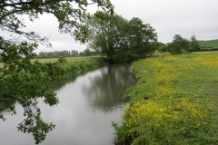 15.-Upstream-from-Careys-Mill-bridge-2