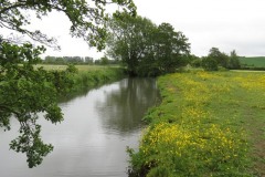15.-Upstream-from-Careys-Mill-bridge-3
