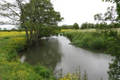 15.-Upstream-from-Careys-Mill-bridge-4