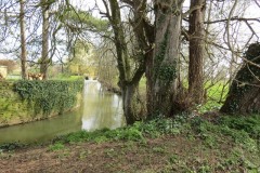 17.-Downstream-Careys-Mill-Bridge-2