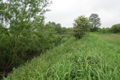 4.-Looking-up-to-pipe-bridge-downstream-from-Petherton-Bridge