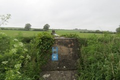 4a.-pipe-bridge-downstream-from-Petherton-Bridge-1