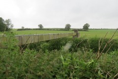 4a.-pipe-bridge-downstream-from-Petherton-Bridge-2