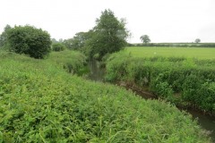 5.-Looking-upstream-from-pipe-bridge-downstream-from-Petherton-Bridge