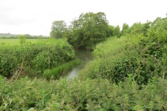 6.-Looking-downstream-from-pipe-bridge-downstream-from-Petherton-Bridge
