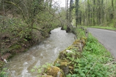 13. Upstream from Langridge Mills Road Bridge
