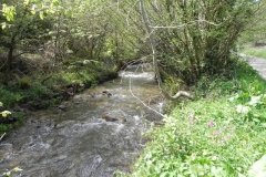 14. Upstream from Langridge Mills Road Bridge
