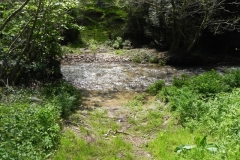 15. Upstream from Langridge Mills Road Bridge