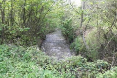 17. Looking upstream from Druid's Combe Road Bridge