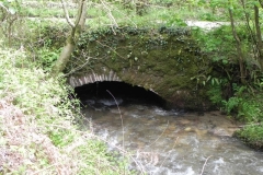 21. Druid's Combe Road Bridge downstream arch