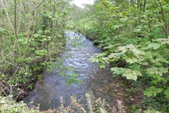 22. Looking downstream from Druid's Combe Road Bridge
