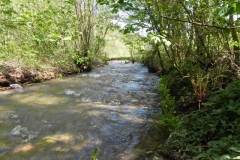 23. Downstream from Druid's Combe Road Bridge