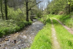 24. Downstream from Druid's Combe Road Bridge