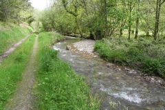 25. Downstream from Druid's Combe Road Bridge