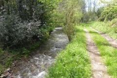 26. Downstream from Druid's Combe Road Bridge
