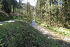 27. Flowing through Druid's Combe Wood