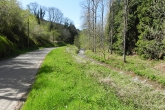 30. Flowing through Druid's Combe Wood