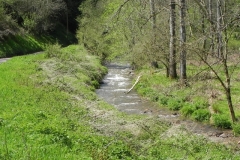 31. Flowing through Druid's Combe Wood