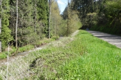 32. Flowing through Druid's Combe Wood