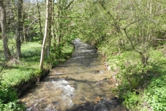 39. Looking downstream from Slowley Wood ROW Bridge 3125