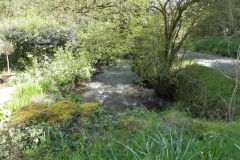 43. Looking upstream from New Mill Access Bridge
