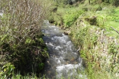 47. Looking upstream from New Mill Garden Bridge