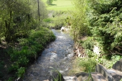 50. Looking downstream from Purley Ford Bridge