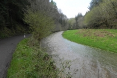 6. Downstream from Langridge Mills