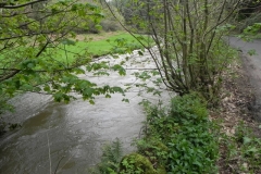 7. Downstream from Langridge Mills