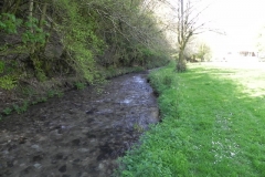 77. Flowing past Kingsbridge Playing Field