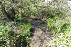 80. Looking upstream from Pool Town Bridge North