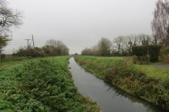 21.-Upstream-from-Bow-Bridge