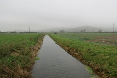 4.-Looking-downstream-from-ROW-bridge-483-Prowses-Lane