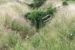 53.Hearty-Gate-Farm-Accomodation-Bridge-G-Downstream-Arch