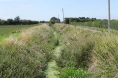 57.Looking-downstream-from-Hearty-Gate-Farm-Accomodation-Bridge-H