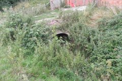 67.Hartlake-Farm-Bridge-Upstream-Arch