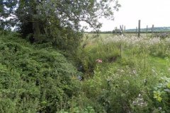 68.Looking-Upstream-from-Hartlake-Farm-Bridge